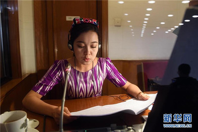 語言橋梁，共商國是——記為兩會服務的民族語文翻譯組